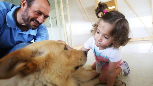 Daniel sonríe al ver a su hija Carlota, de 4 años, mirarse con Fusco, un can de palleiro de 9, en el hospital