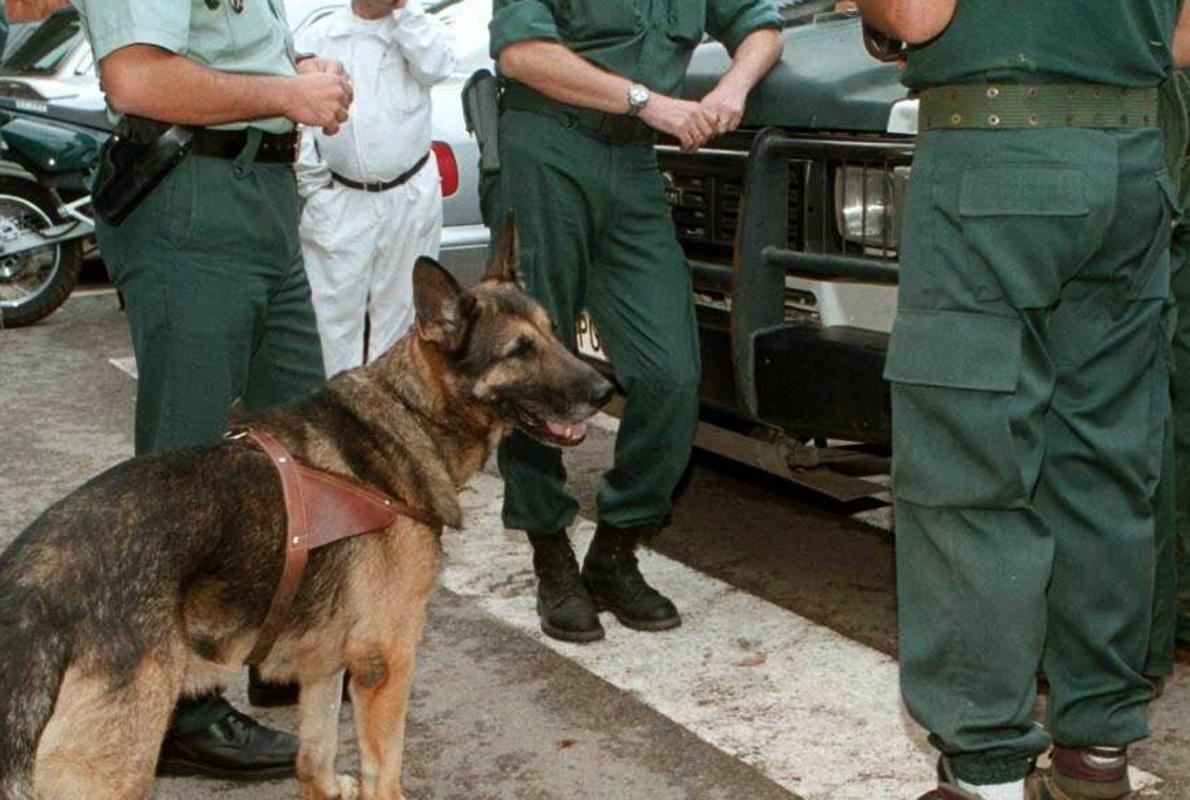 La Guardia Civil investiga en el Pirineo aragonés por orden de un juzgado tarraconense