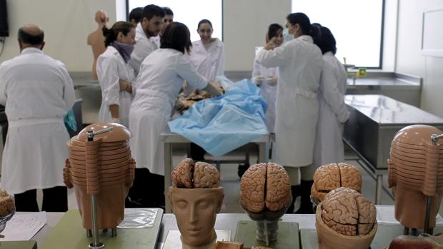 Estudiantes de Medicina, durante una clase