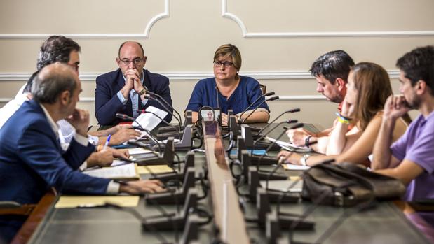 María José Pi, durante la sesión de la comisión celebrada este martes