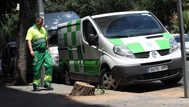 Las motosierras desvelan a Doctor Esquerdo: «Es imposible dormir»