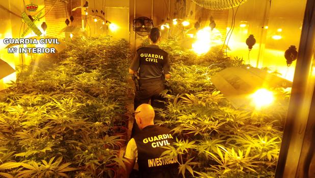 Imagen de la Guardia Civil en el garaje donde la mujer cultivaba las plantas de marihuana