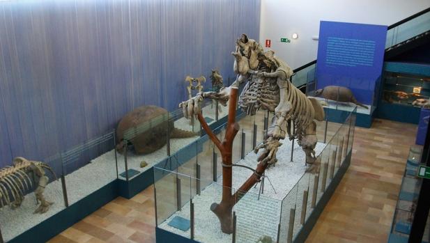 Imagen del Museo de las Ciencias Naturales de Valencia