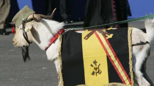 La cabra de La Legión, en el desfile de las Fuerzas Armadas
