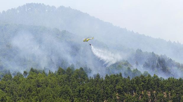 El juez envía a prisión al hippy detenido como autor del incendio de La Palma