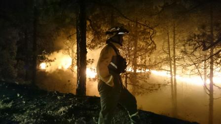 Scott VS se enfrenta a un delito de incendio forestal por imprudencia grave