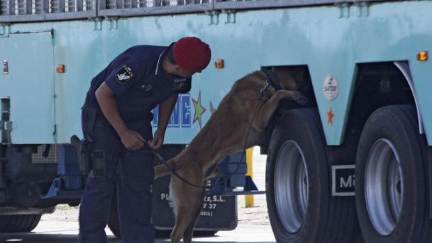 Un agente de la Policía Nacional, junto con un perro, registra un camión