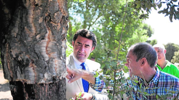 Juan Carlos Suárez- Quiñones , ayer durante la visita al alcornocal de la localidad salmantina de Valdelosa