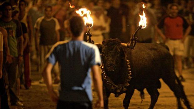 Un festejo de bou embolat en la Comunidad Valenciana.