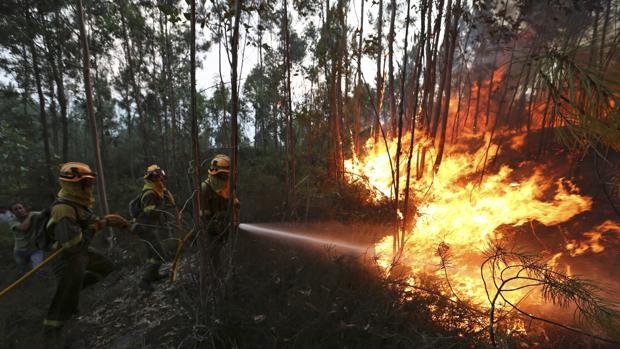 Lucha contra el fuego en el concello de Arbo