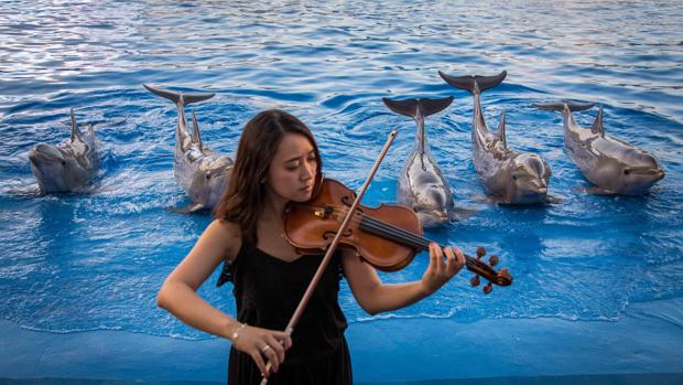 Imagen del espectáculo musical con delfines en el Oceanográfic