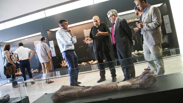 El nuevo ejemplar se puede contemplar en el Museo de Paleontología de Cuenca