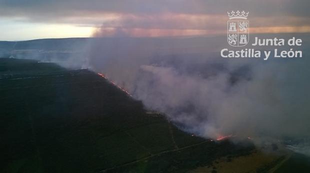 Un incendio intencionado calcina ya más de 400 hectáreas de monte bajo en Zamora