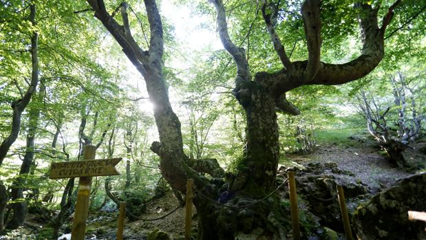 Durante los trayectos no se debe olvidar la gorra, el agua y buscar caminos o senderos que estén bien señalizados