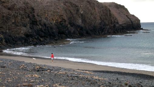 Playa de Lanzarote con autorización para mascotas