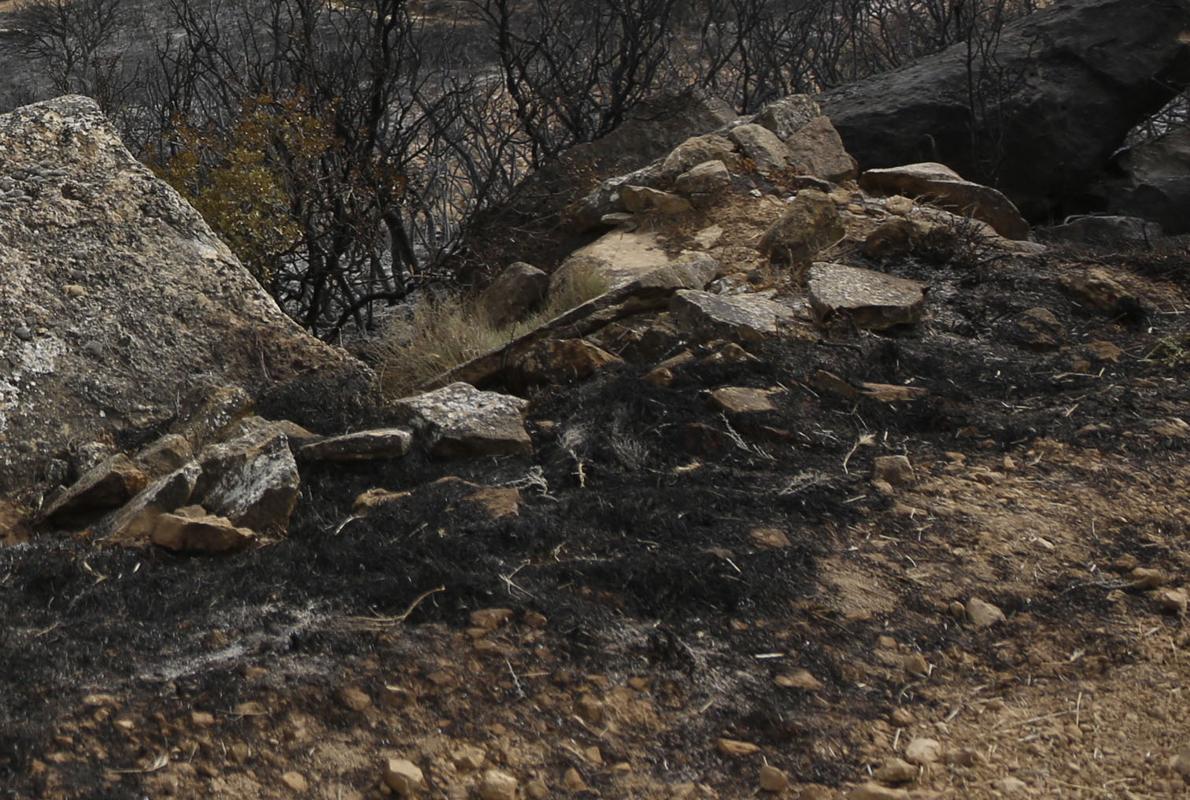 El incendio forestal se extendió desde varios focos prácticamente simultáneos