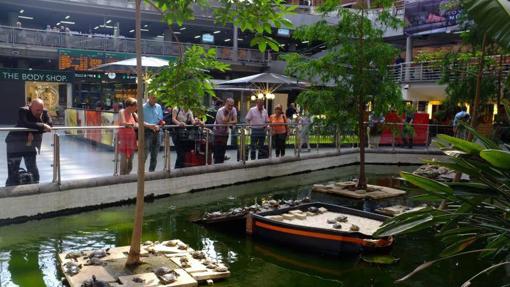 Jardín Tropical de la estación de Atocha