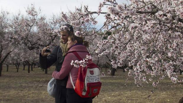 Una pareja en la zona de almendros del Parque Quinta de Los Molinos