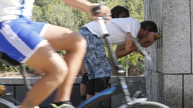 Imagen de los efectos de la ola de calor en Valencia