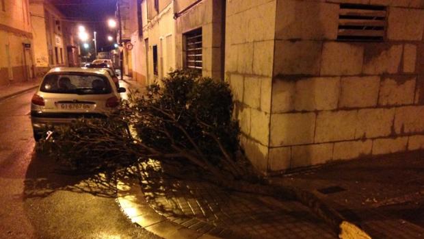 Destrozos causados por el tornado en Badalona