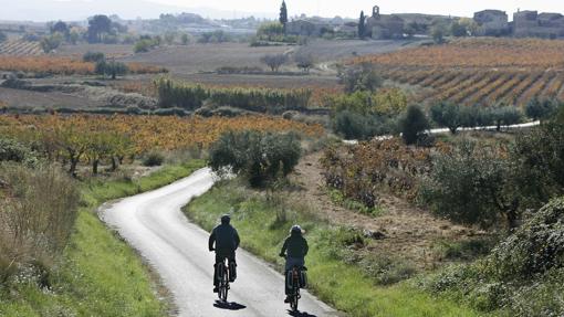 Los caminos del Penedés