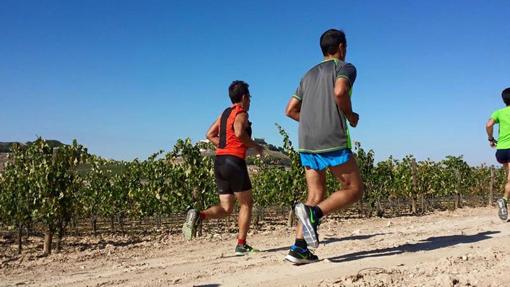 Algunos corredores en ediciones pasadas de «Corriendo entre viñas»