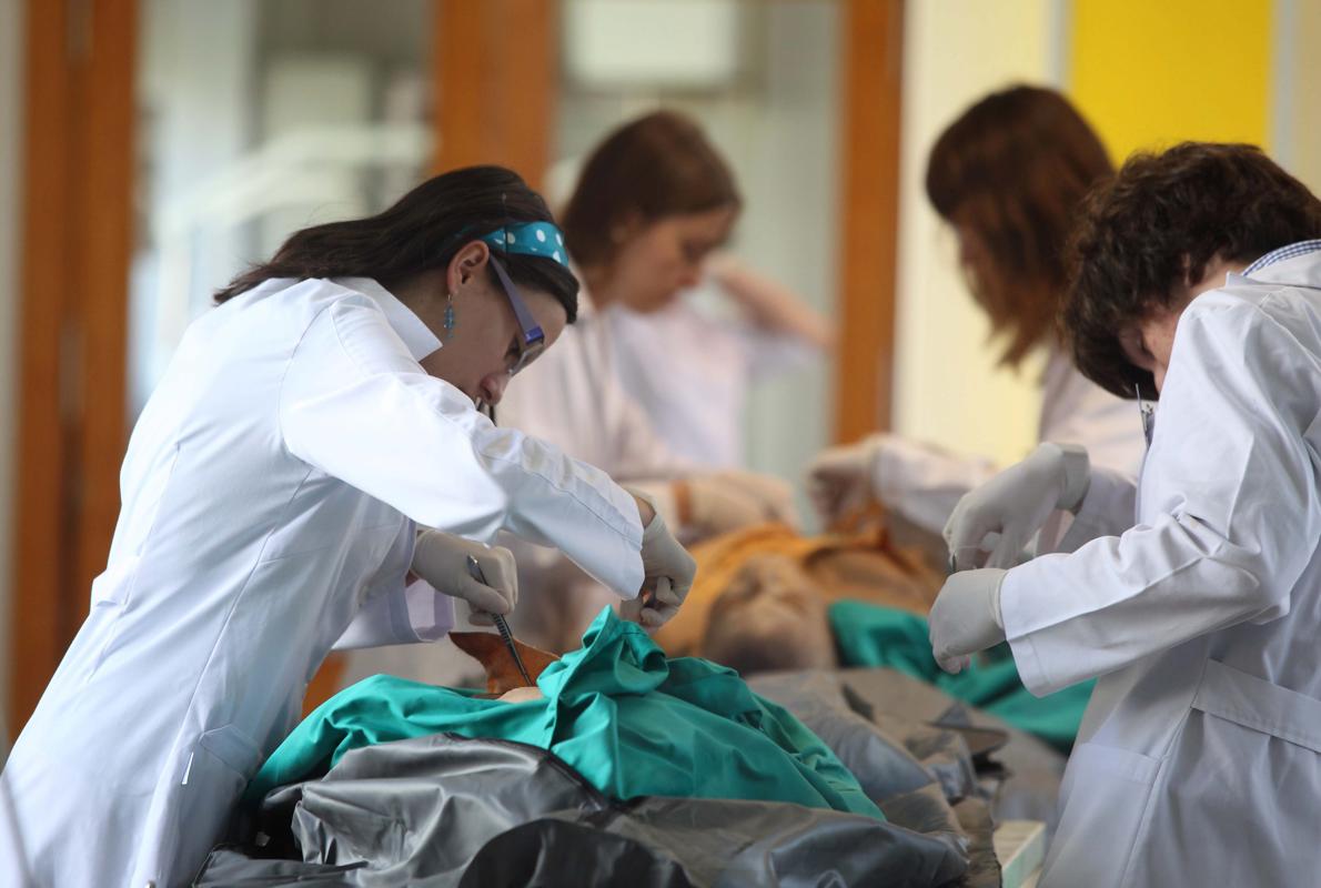 Con estas estancias, los estudiantes se familiazarán con el trabajo cotidiano en los hospitales