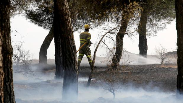 Incendio en el término municipal de Laguna de Duero (Valladolid)