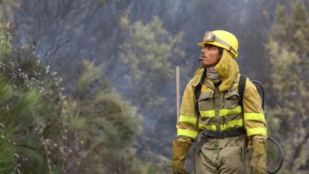 La superficie forestal quemada ha descendido un 38 por ciento