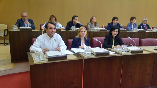Los concejales de Ciudadanos en el Ayuntamiento de Albacete