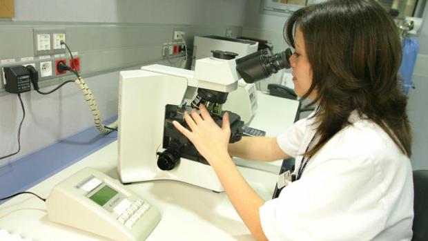 Una investigadora observa una muestra biológica al microscopio
