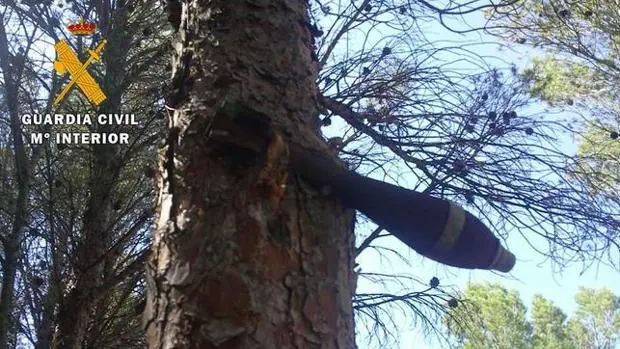 Bomba de la Guerra Civil que apareciió colgada de un pino en Teruel hace un par de años