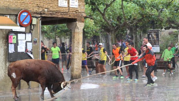 Última edición del toro enmaromado de Astudillo