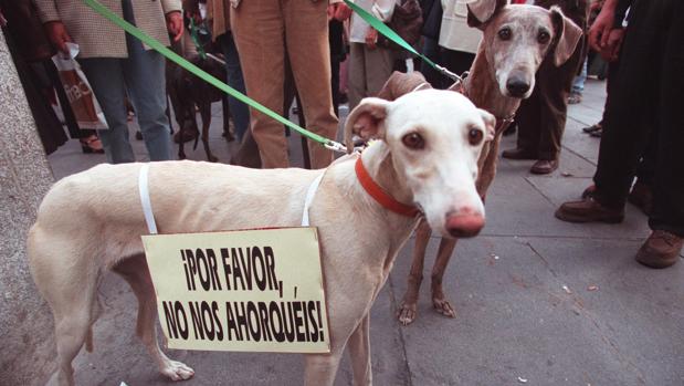 Imagen de archivo de una manifestación contra el maltrato animal