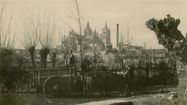 Un carro tirado por vacas atraviesa la presa de San Lorenzo, con la Catedral de León al fondo