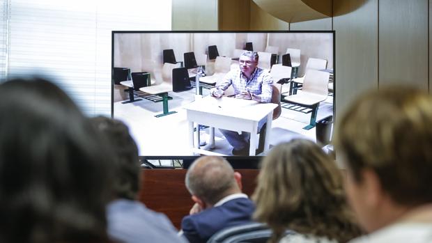 Granados declara por vídeoconferencia en la Asamblea de Madrid