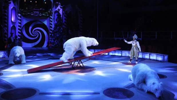 Los osos «animatrónicos», protagonistas de la Navidad en el Circo Price