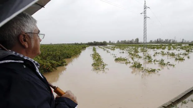 Imagen de un agricultor frente a un campo valenciano inundado