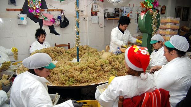 Imagen de las tareas de embolsado de la uva del Vinalopó