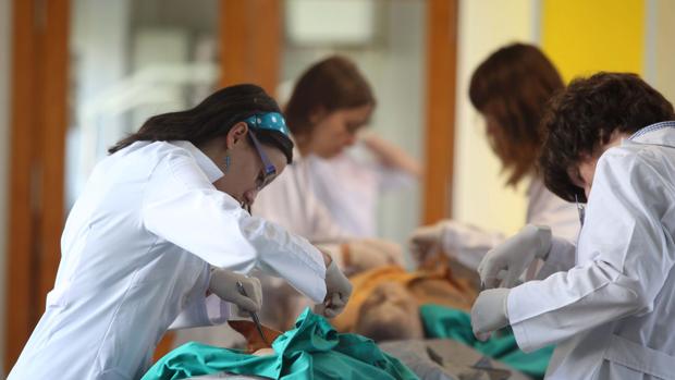 Estudiantes de Medicina de la Universidad de Valladolid, durante unas prácticas