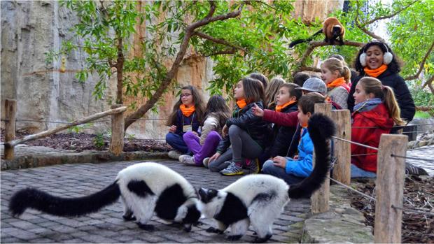 Imagen de la escuela de vacaciones de Bioparc