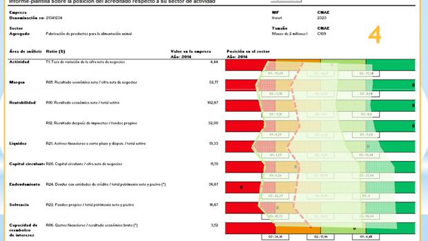 Ejemplo de ficha con los datos de una empresa ficticia, en una simulación