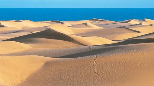 Los pasos perdidos que ofrece las Dunas de Maspalomas