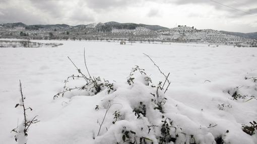 Imagen tomada este miércoles en Benassau (Alicante)