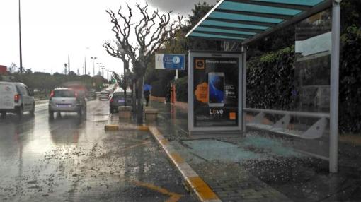 Estado en que ha quedado la marquesina de una parada del bus en Alicante