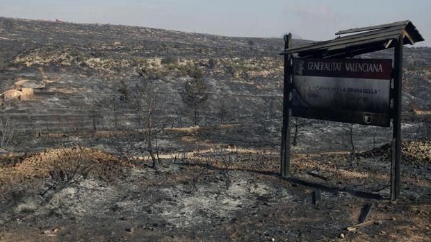 Paraje de La Granadella tras el incendio que arrasó este parque natural alicantino