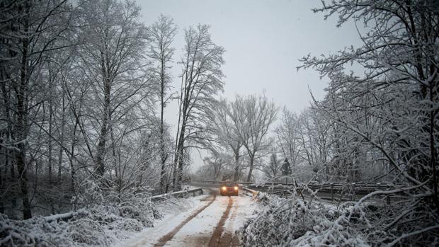 Aspecto de una carretera local cerca de la N-260 entre Olot y Ripoll