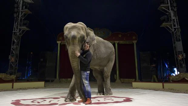 El gerente del Circo Quirós posa con un elefante en la pista del Circo Quirós