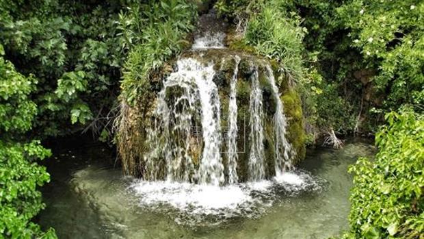 Un rincón entre la flora y el agua en abundancia dentro de la ruta de los molinos en Ayora