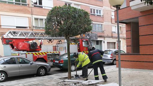 Bomberos de la capital zamorana limpian los restos de una celosía caida desde la azotea de un edificio a causa del viento